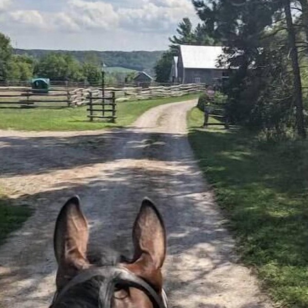 Charming apartment on a beautiful equestrian farm.