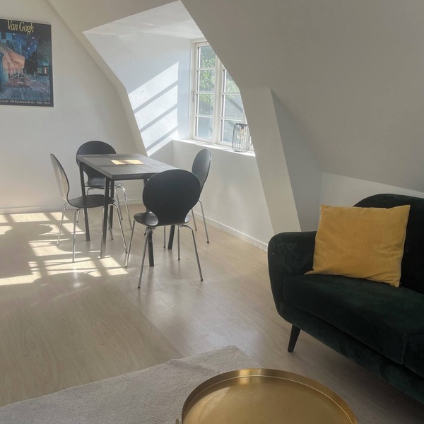 Charming Apartment with Lake View, Tennis Court- 5 Minutes from Odense Center