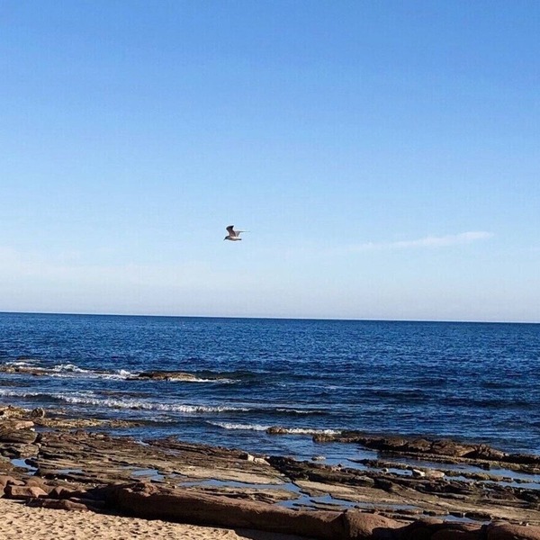 Charming Bastidon T2 in the heart of an ancient palm grove, 100 m from the beach