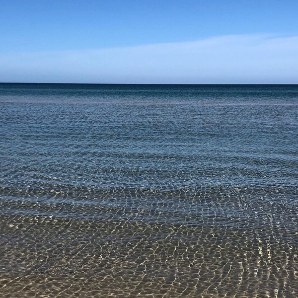 Charming Beachside studio - 2 min to the beach , pets welcome .
