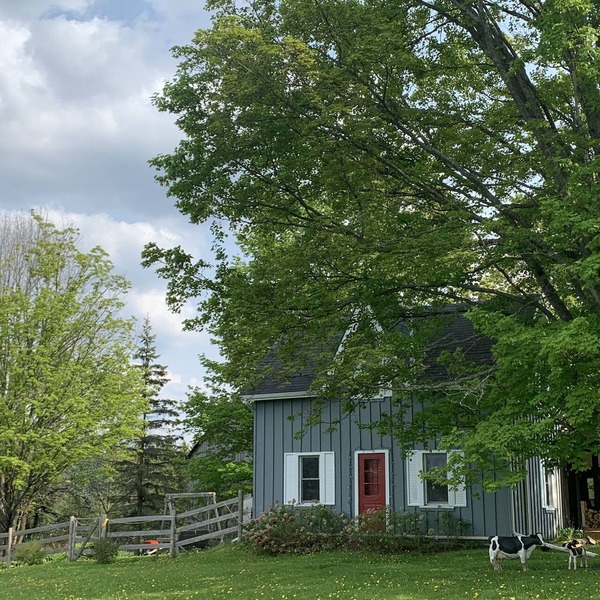 Charming Beaver Valley Farmhouse - Recently renovated family getaway