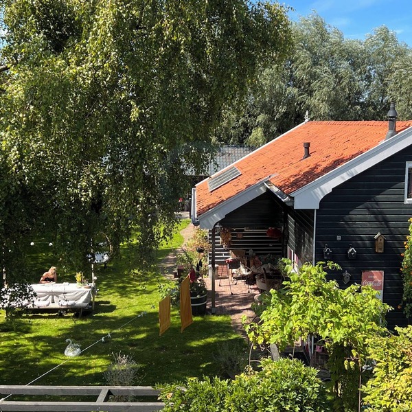 Charming countryside cottage retreat with animals near Amsterdam (25 min)