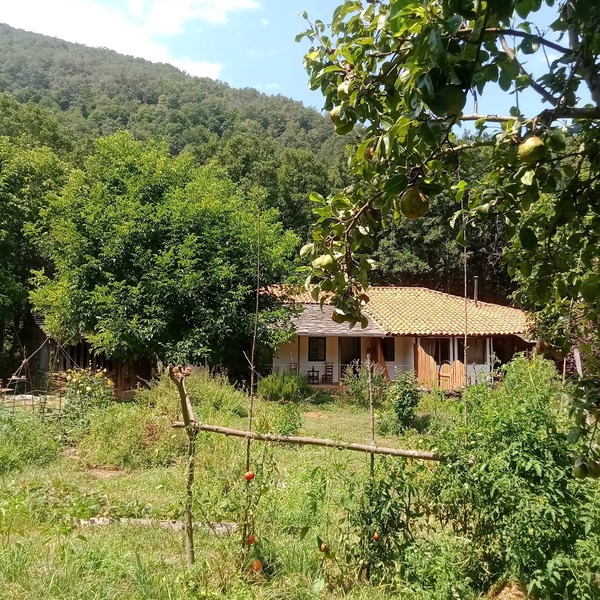 Charming cottage in the heart of the Ribera sacra