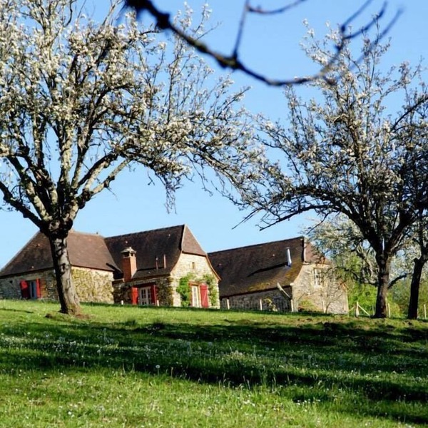 Charming cottage, private turquoise pool, PLAZAC-prox. treasures of Périgord