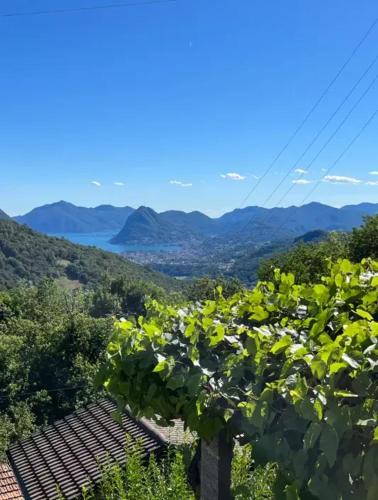 Charming House with Views in Capriasca