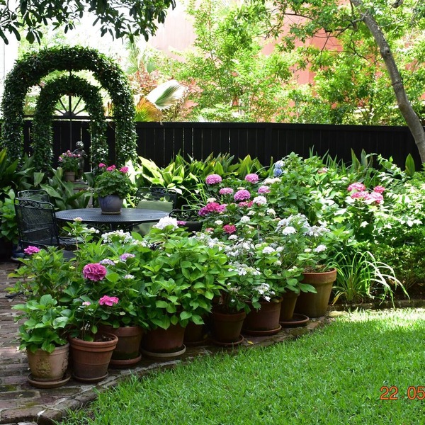 Charming Kitchen House with Beautiful Garden