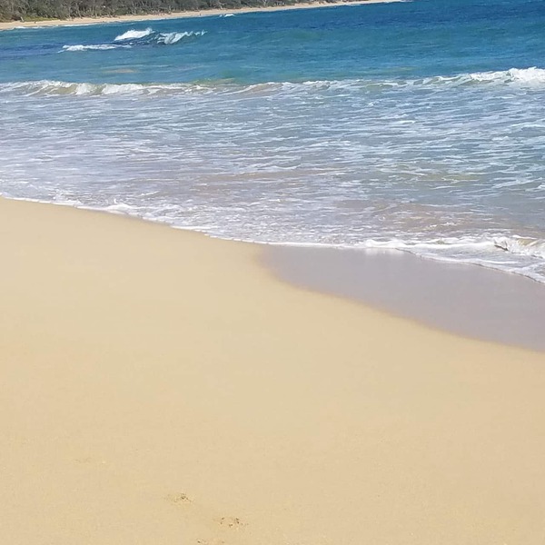 Charming Ocean Front/Beach Front/Cottage 30 day rental