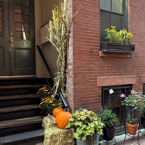 Charming & Private 1-bedroom Condo in Historic Boston - next to MGH hospital!