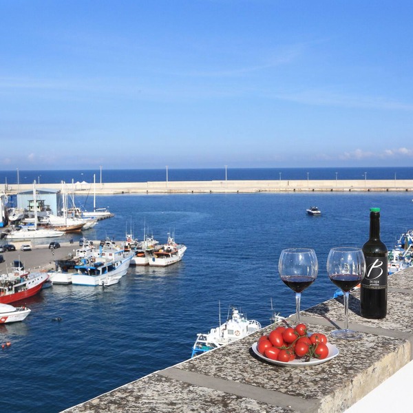 CHARMING REAL HOUSE SEA VIEW INDEPENDENT TERRACES