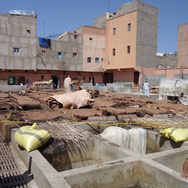 Charming Riad Bed and Breakfast