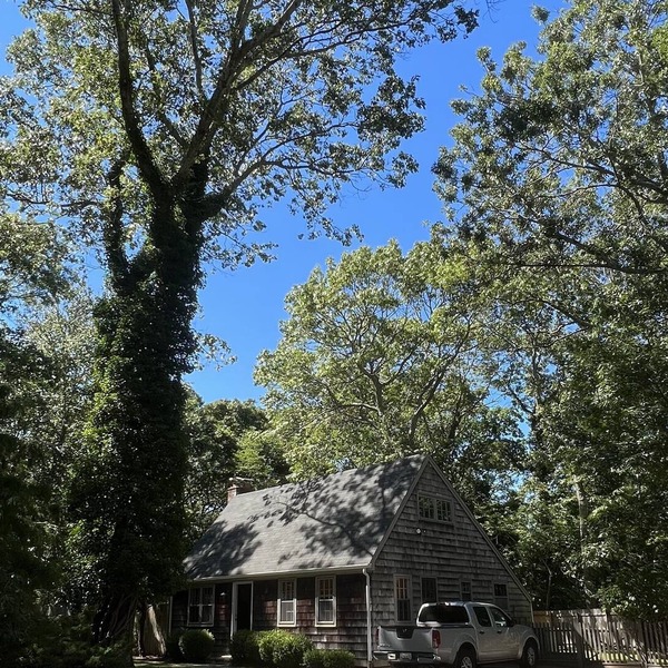 Charming & Rustic Artists Mid Century Modern Hamptons Escape
