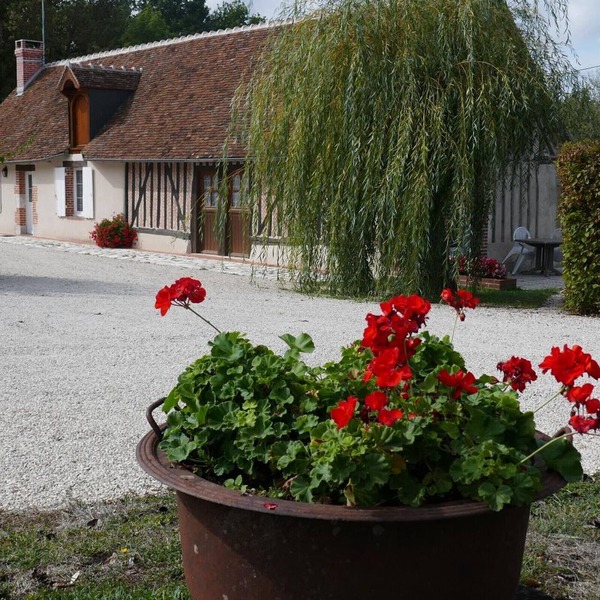 Charming Rustic Cottage with Private Terrace and Pet Allowed