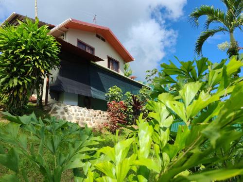 Charming Small House, Near the beach & Waterfalls