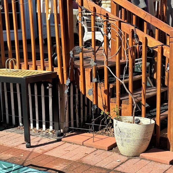 Charming studio with AC and WiFi in lovely Mount Pleasant
