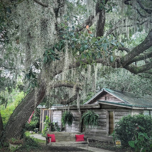 Charming Unique Cabin: The LiTTLe House in the Inlet!