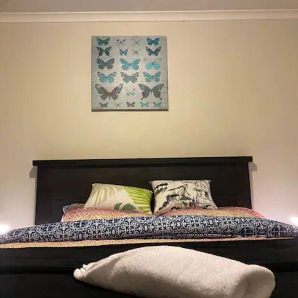 Cheerful 2 Bedroom House in Hamilton Central