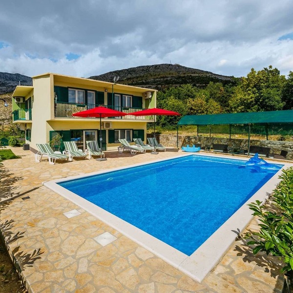 Cherry Tree With Pool Near Split