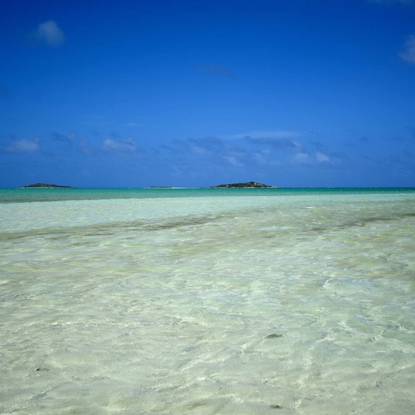 Chesters Bonefish Lodge