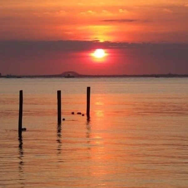Chill Beachfront Cottage Amazing Bay & Sunset Views! Large Private Outdoor space