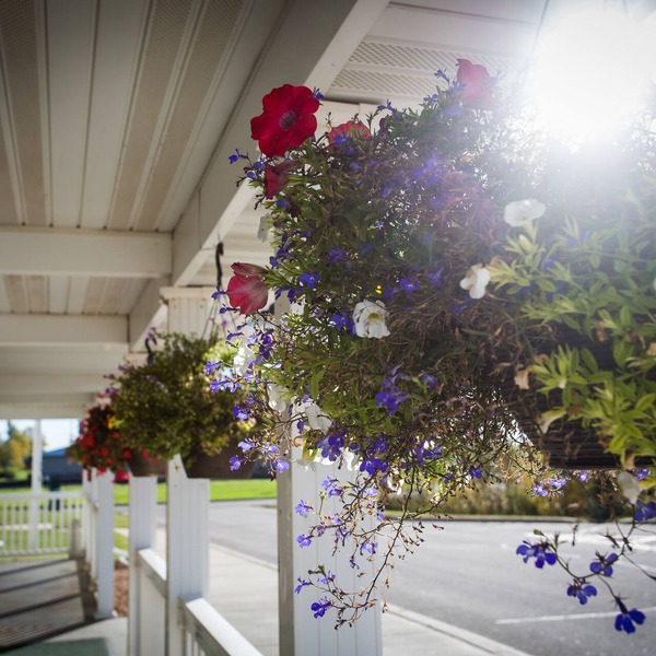 Chisholm Inn & Suites