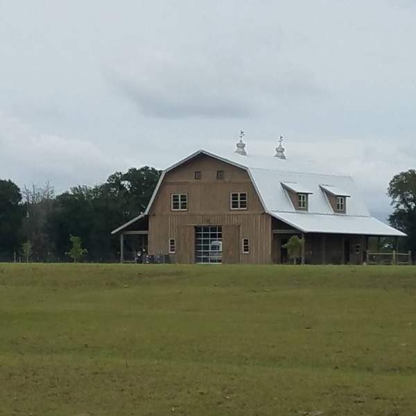 Classy Cattle Farm Experience-Wine and Bovine