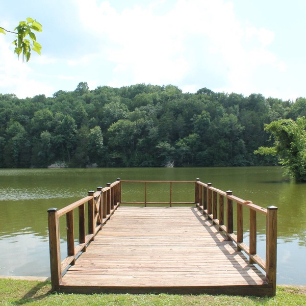 Clementine Cottage- Quiet Charming Cottage on Lincoln Lake