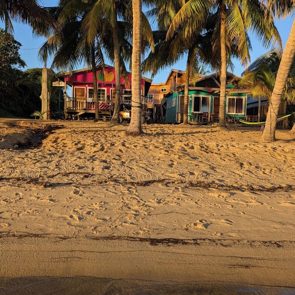 CobiaBeach.com