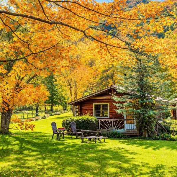 Cold Spring Lodge - Cabin 5