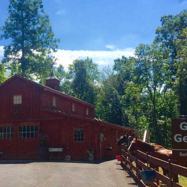 Come visit and spend some time with our 2 and 4 legged friends!