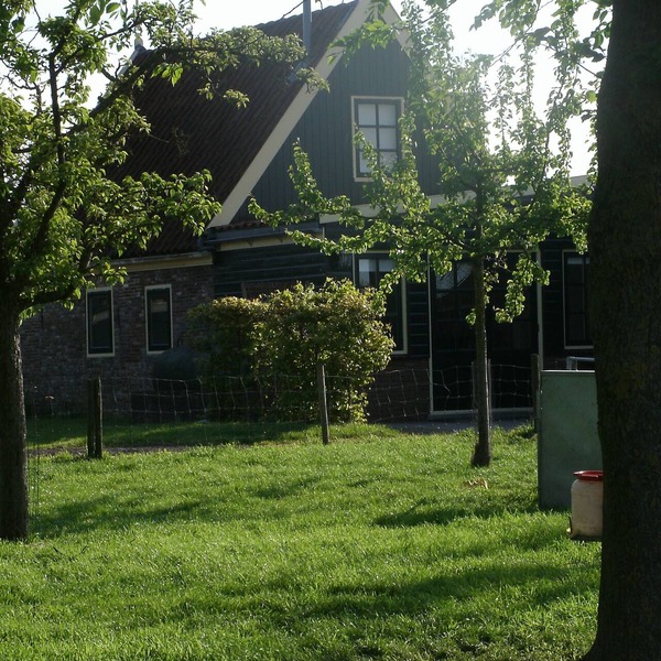 Comfortable and cozy cottage on farm