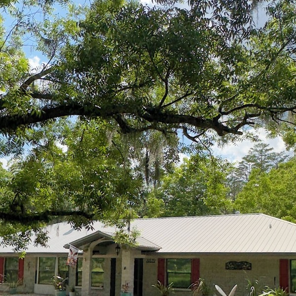 Comfortable Farmhouse Retreat Near Lake Santa Fe: Sleeps 16!
