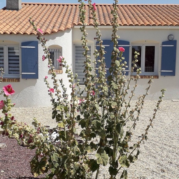 Comfortable and Spacious Villa, Quiet Area