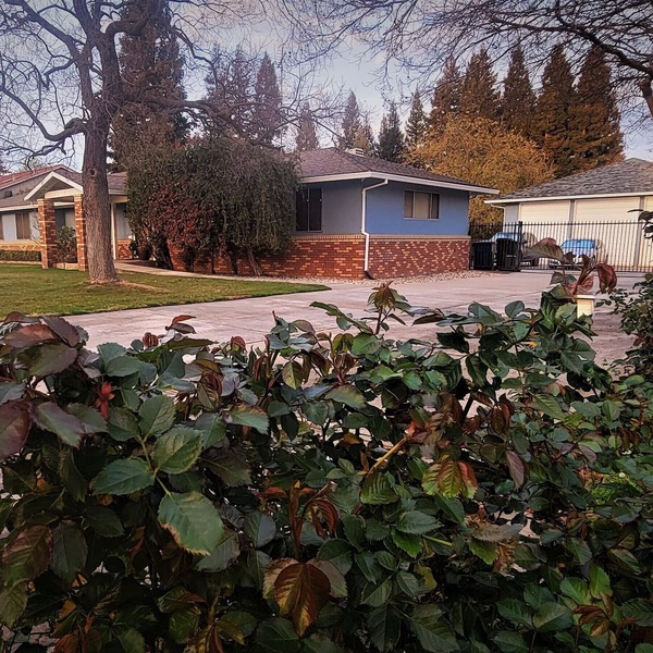 Comfortable Quite Private In-Law Suite in the Heart of Sacramento