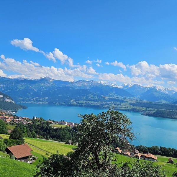 Comfortable vacation home overlooking Lake Thun and the Alpine chain