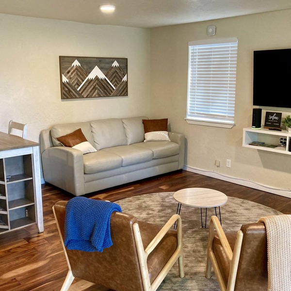 Contemporary Studio . dog-friendly