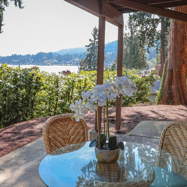 Convenient Bellevue 2 BR 2 Bath Lakeview House