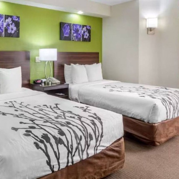 Conveniently Located Modern Rooms – Near Downtown Tampa Hot Spots | 2 Units