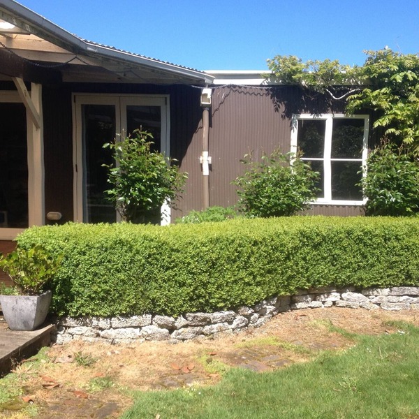 Cosy, comfortable cabin in the heart of The Catlins