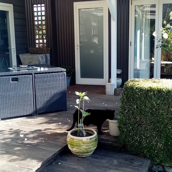 Cosy, Comfortable, Rustic Cabin In The Absolute Heart Of The Catlins