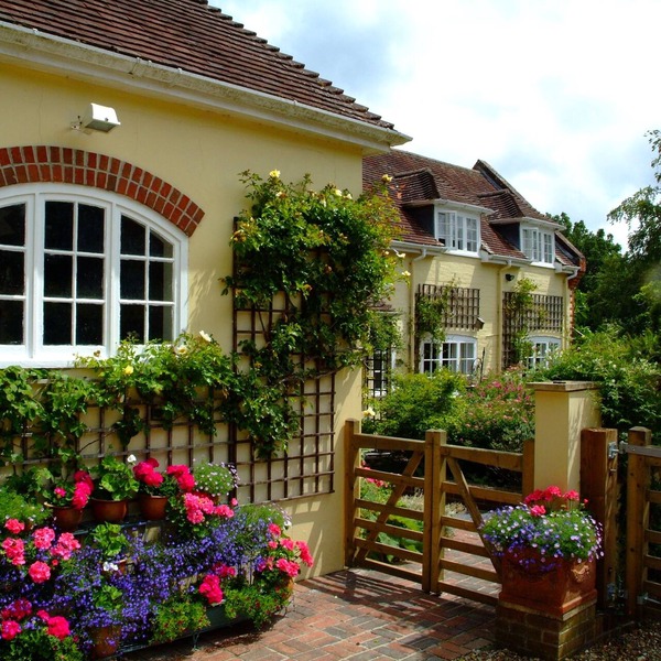 Cottage Hideaway- Direct Access to New Forest