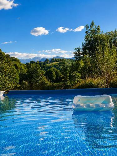 Coume a Case - Maison de charme 4 étoiles - piscine et spa - vallée d'Ossau