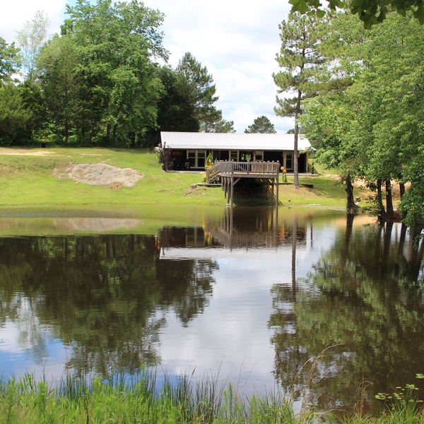 Cozy Cabin in Hamilton w/private pond. Fish, paddle, hike or relax in the tub!