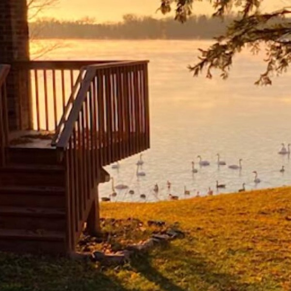 Cozy Getaway + Firepit + Lake + Relaxing Anytime + Peaceful Nights + Perfect