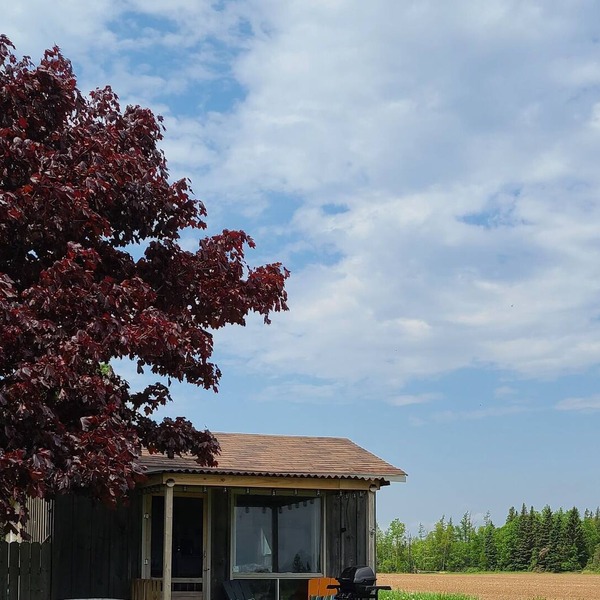 Cozy oceanview cottage Overlooking the Northumberland Strait