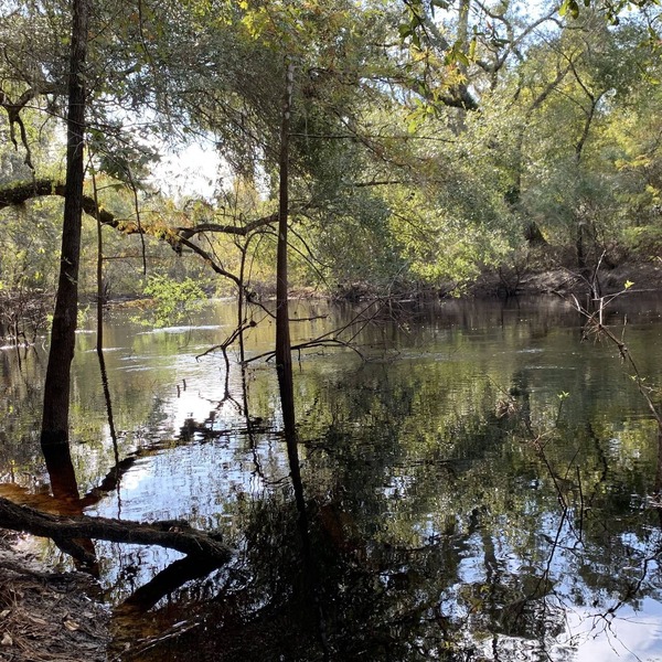 Cozy river front retreat on beautiful Withlacoochee River. Near theme parks.