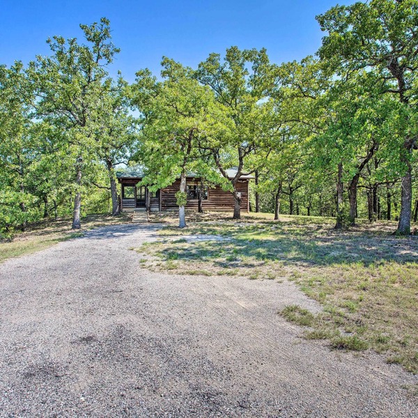 Cozy, Secluded Davis Cabin on 60 Wooded Acres