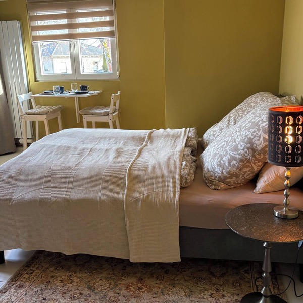 Cozy studio on the outskirts of the city. Pet friendly!
