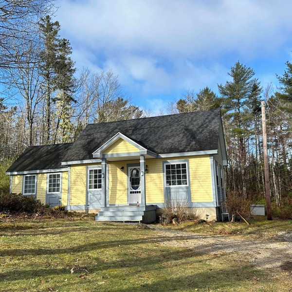 Cozy tranquil cottage, ocean view, nestled on the edge of a forest
