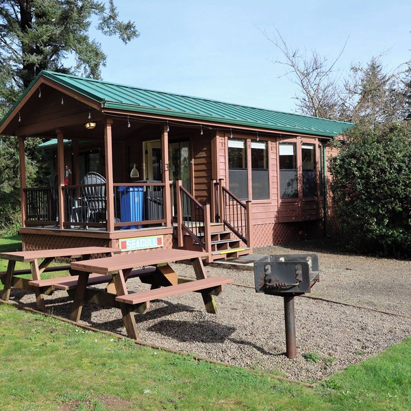 Cozy Tree‑lined Standard Cabins — 2BR, Sleeps 6, Private Covered Porches