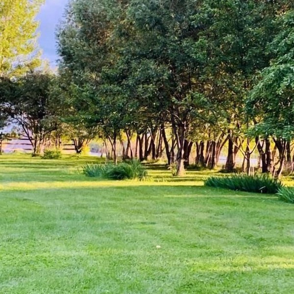 Crabapple Cabin-Secluded Cabin on the Banks of the Yellowstone River